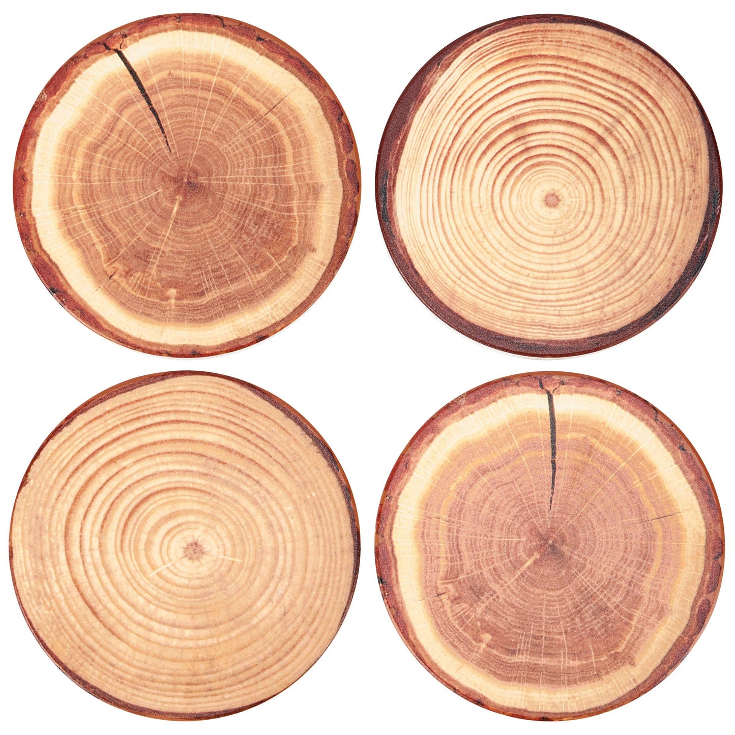 Tree Slice Coaster Set